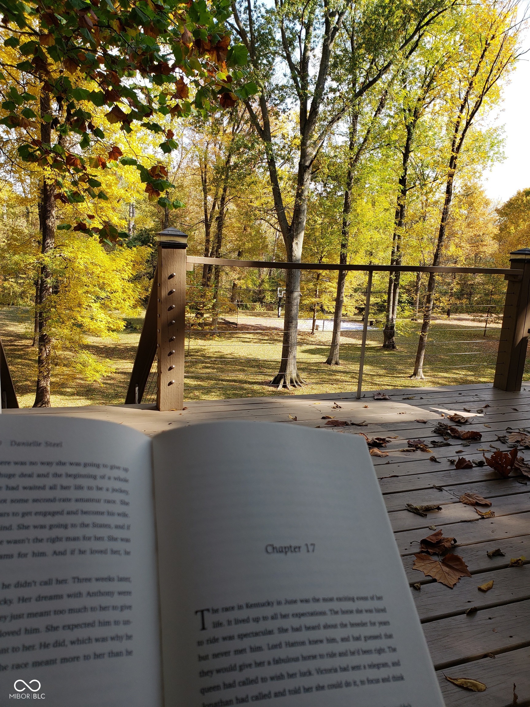 13 Ridgeline Drive Brownsburg, IN 46112 - Photo 94 of 101