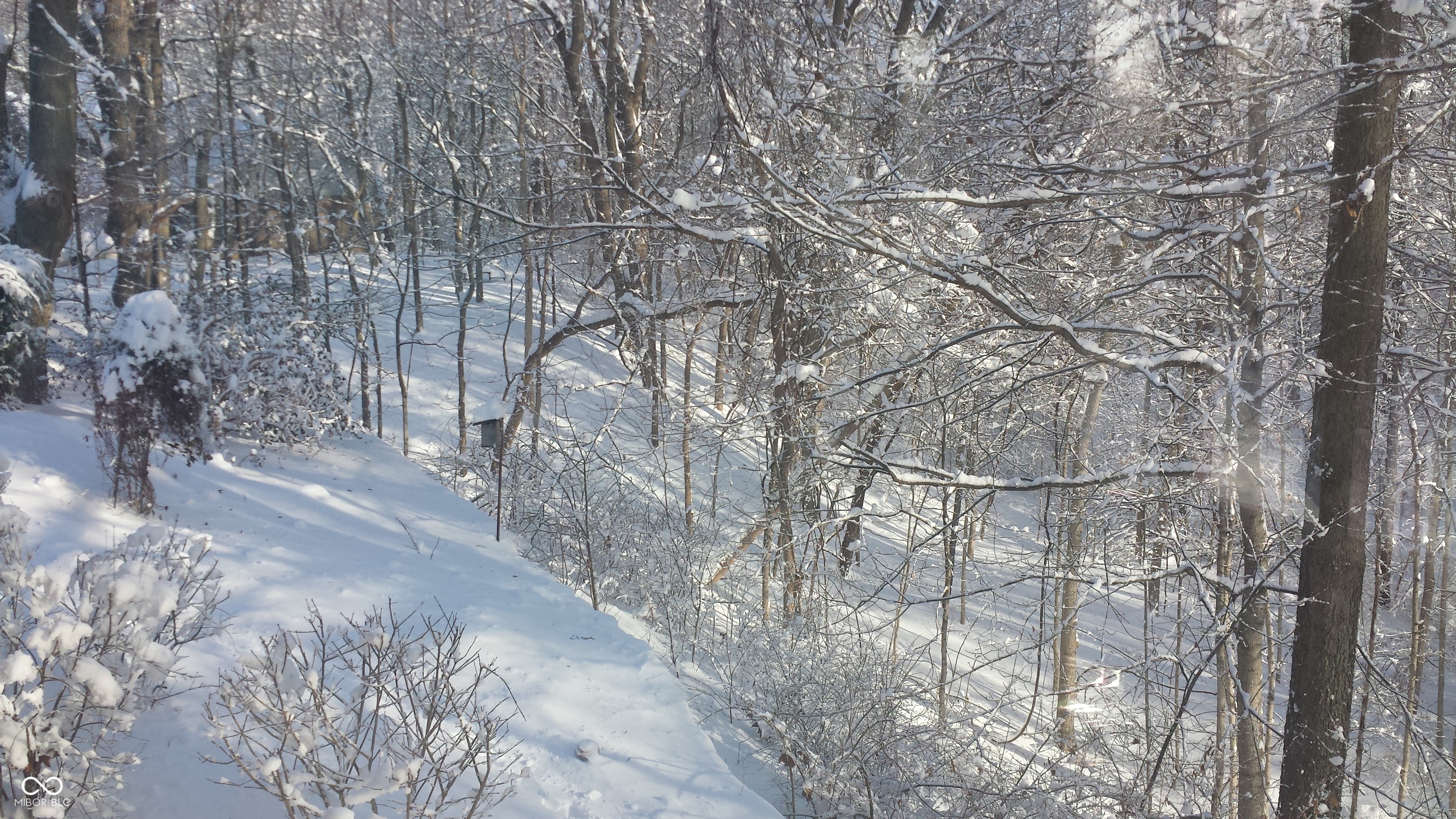 13 Ridgeline Drive Brownsburg, IN 46112 - Photo 96 of 101