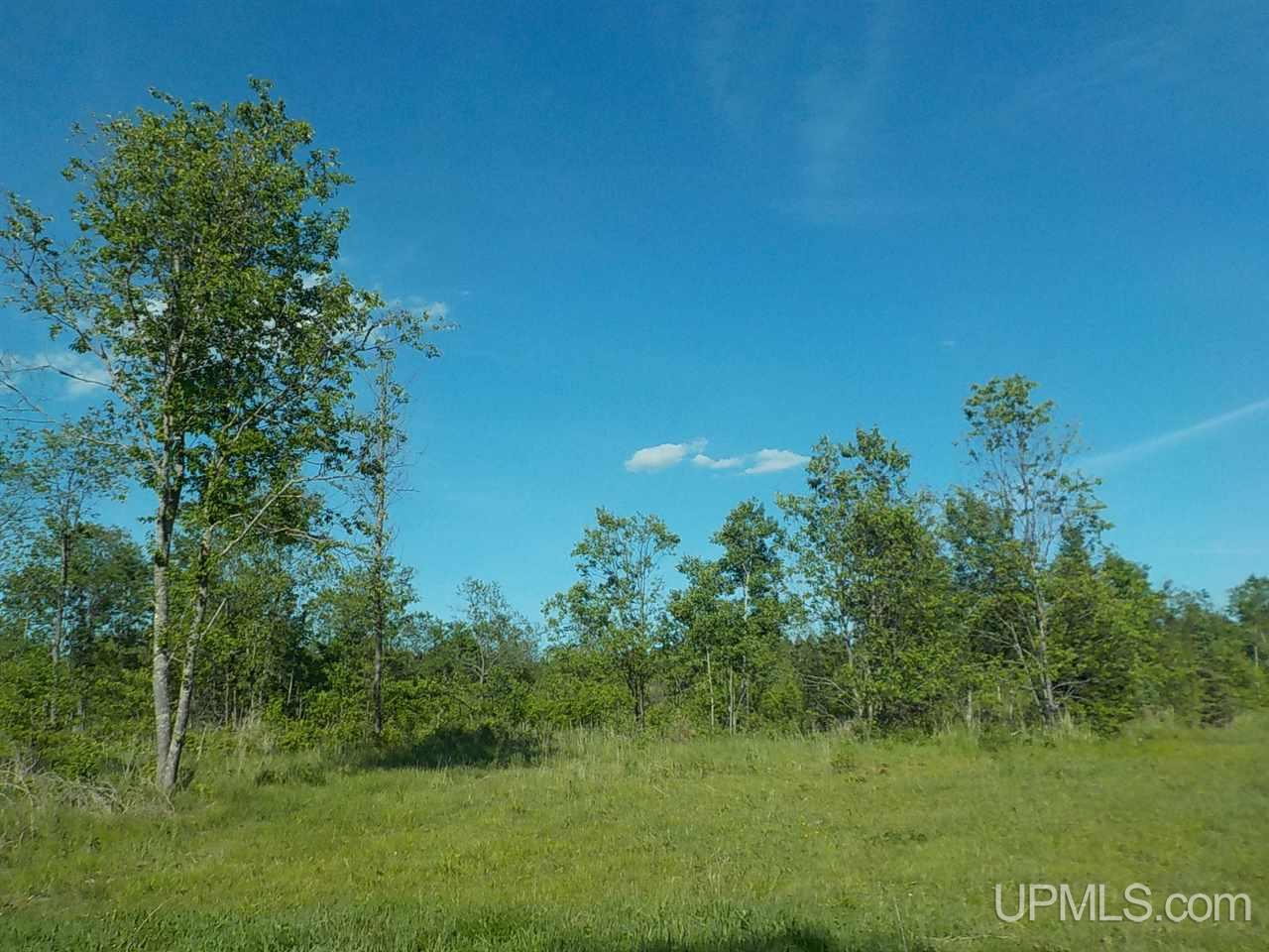 37.25-ac Mihalisko Road Amasa, MI 49920 - Photo 2 of 8