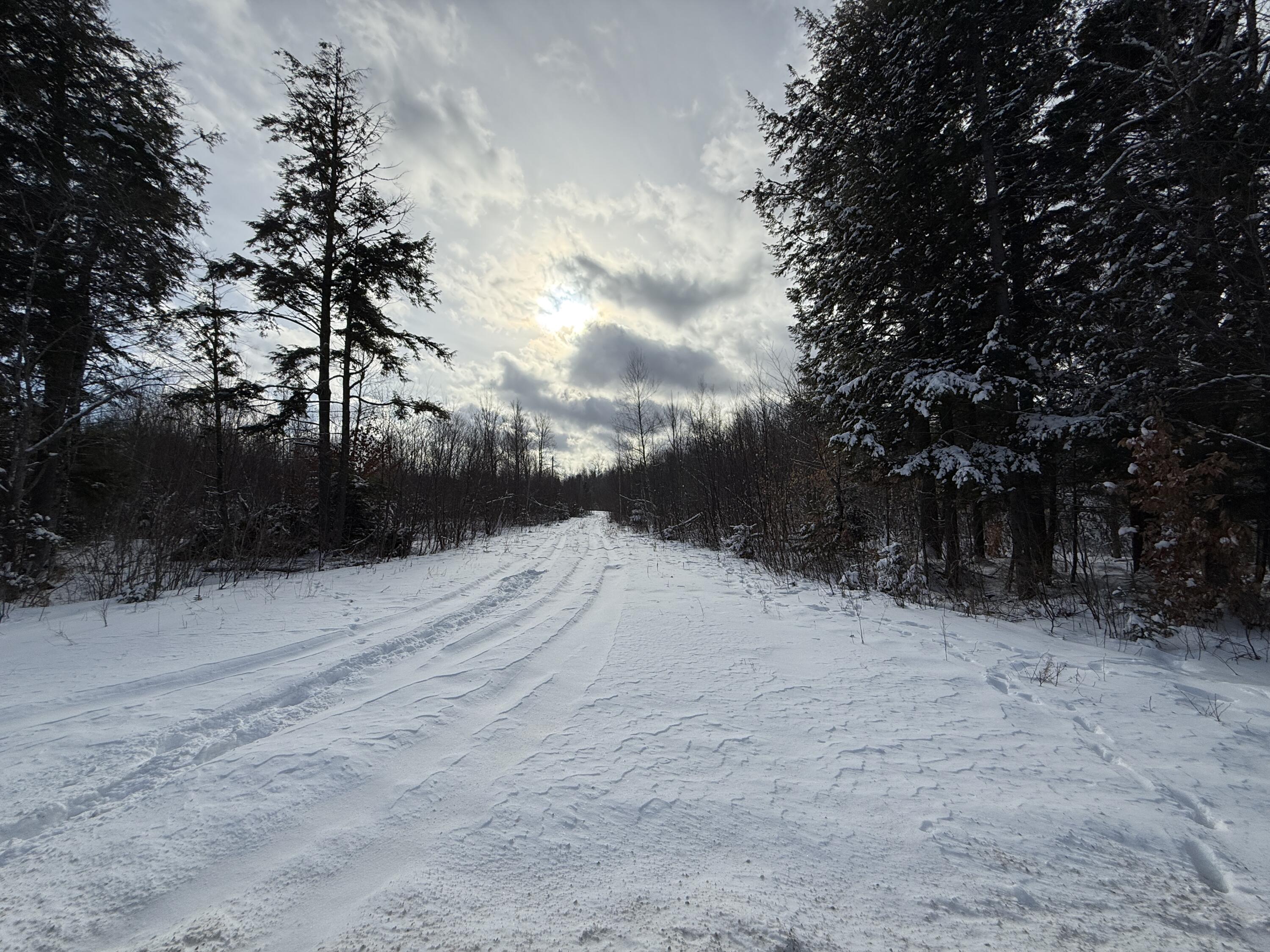 330 Harris Hill Road Weston, ME 04424 - Photo 7 of 14 IMG_3092(1)