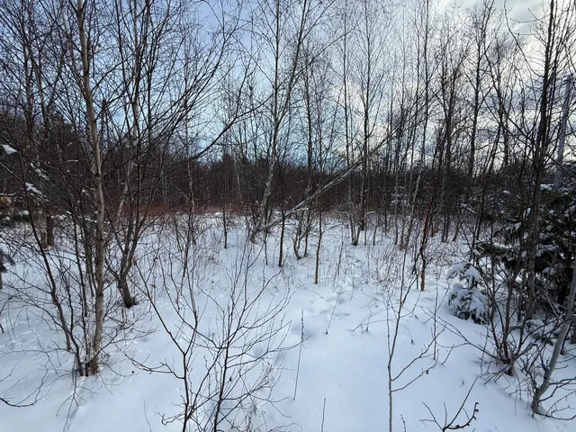 $37,900 | 330 Harris Hill Road, Weston, ME 04424