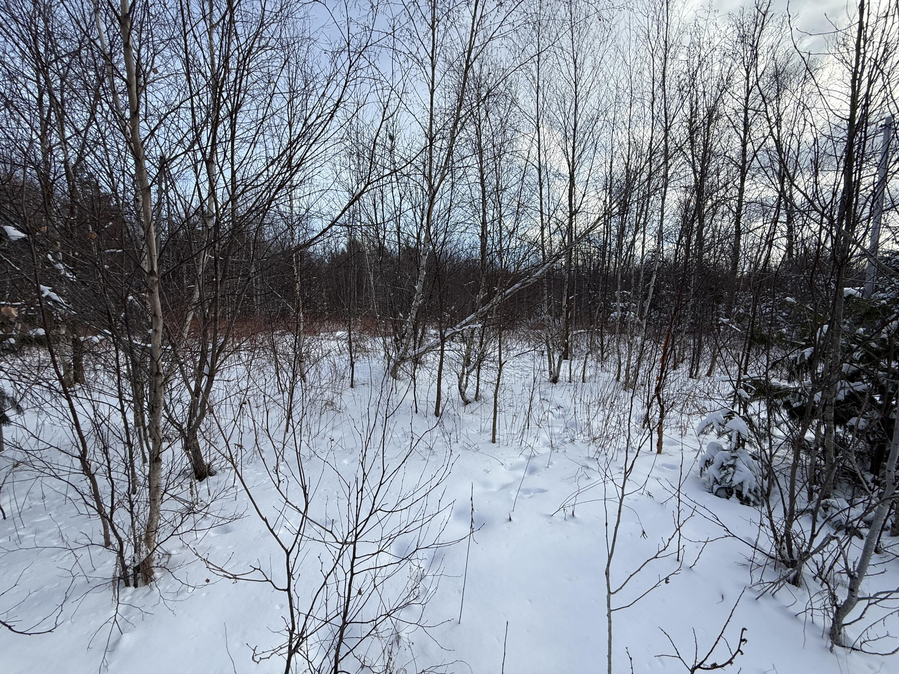 330 Harris Hill Road Weston, ME 04424 - Photo 8 of 14 IMG_3093