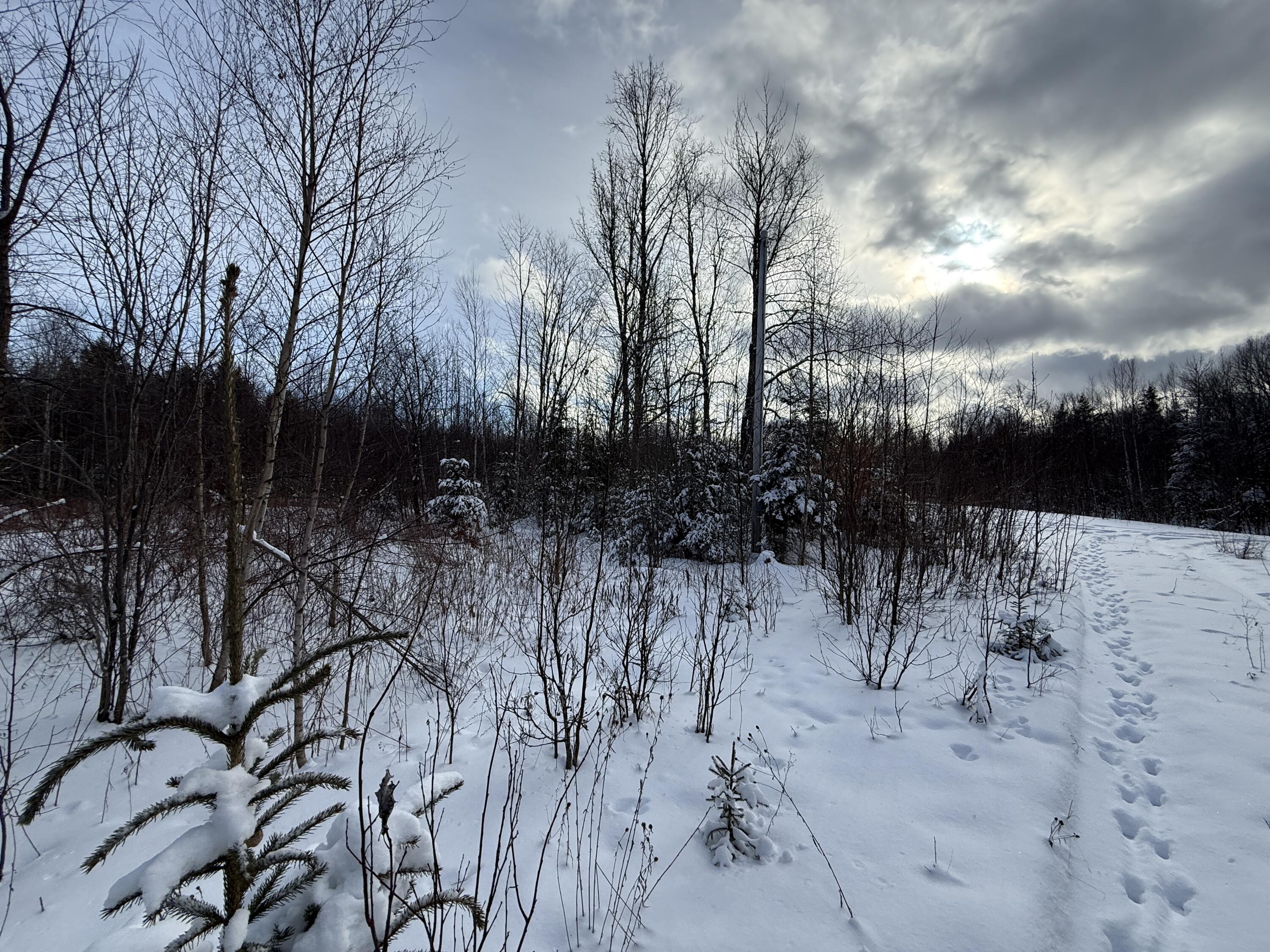 330 Harris Hill Road Weston, ME 04424 - Photo 9 of 14 IMG_3094