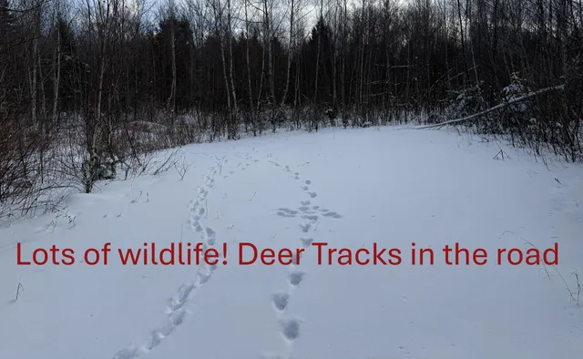 $37,900 | 330 Harris Hill Road, Weston, ME 04424