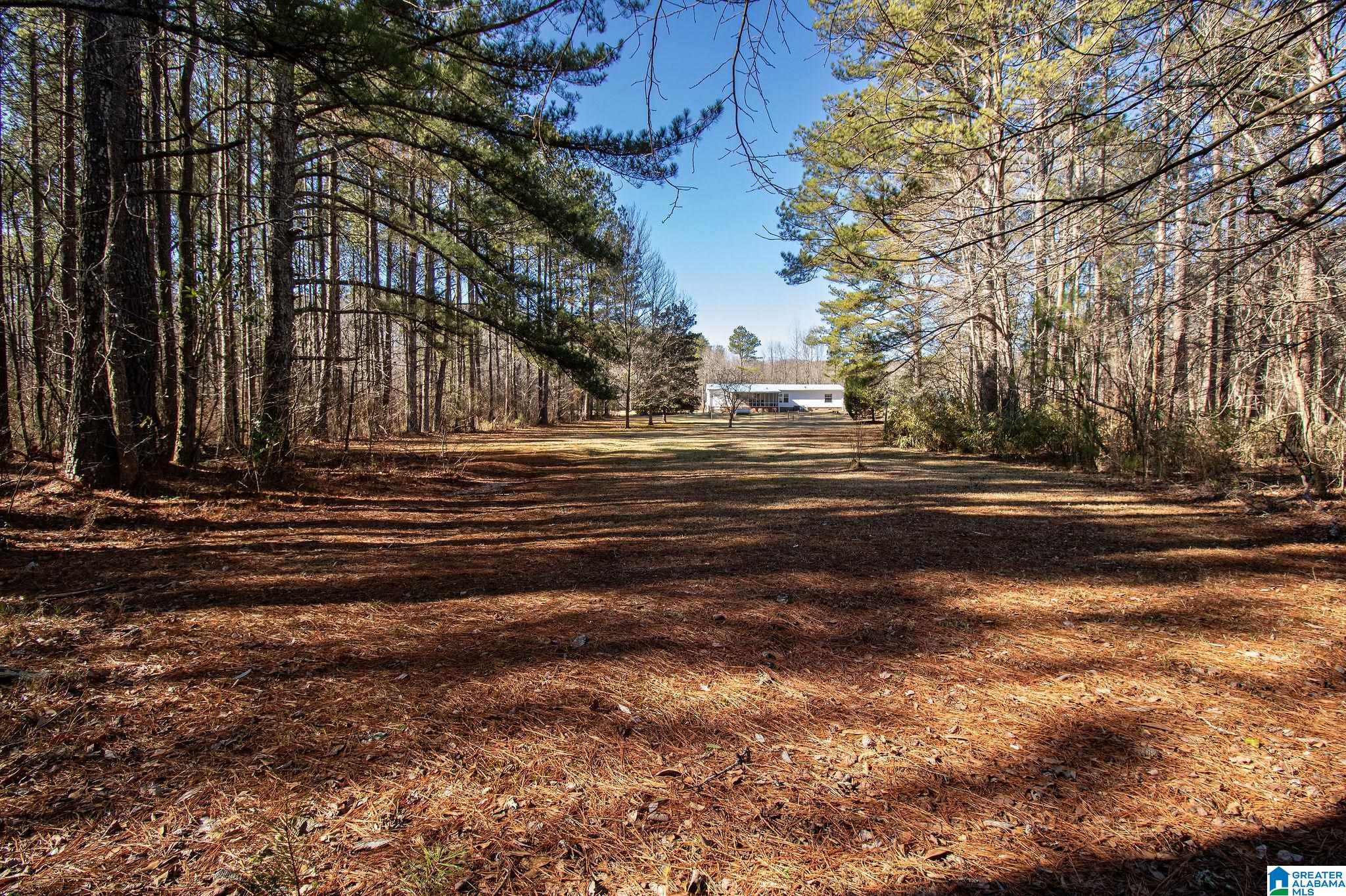 1809 Blue Ridge Road Lineville, AL 36266 - Photo 63 of 69