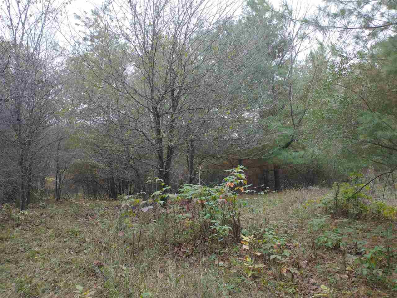 Lot 263 Islanders Way Gladwin, MI 48624 - Photo 6 of 14