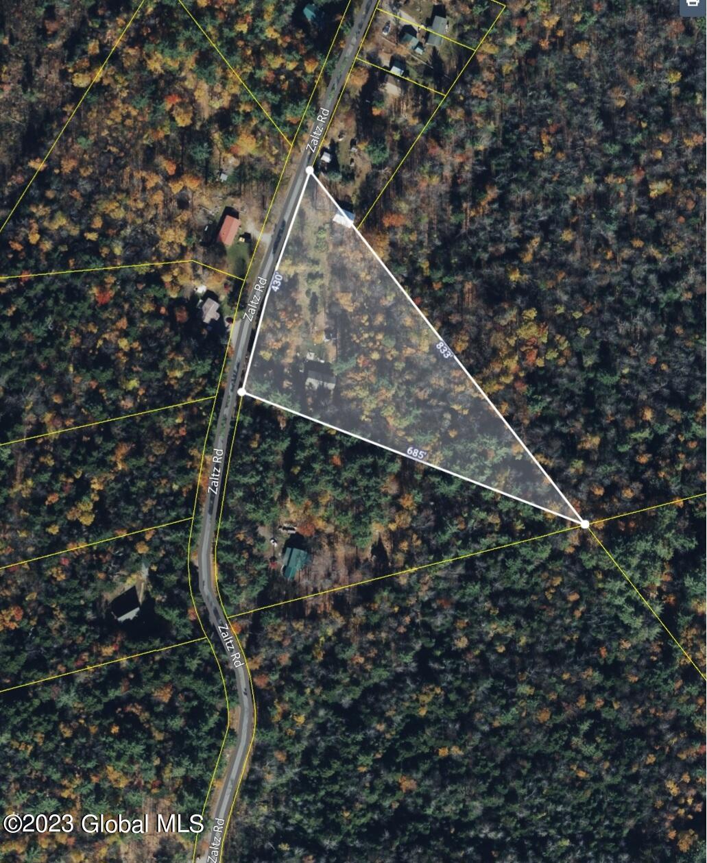 860 Zaltz Road Athol, NY 12810 - Photo 70 of 72 Screenshot_20230817_134008_Flexmls Pro