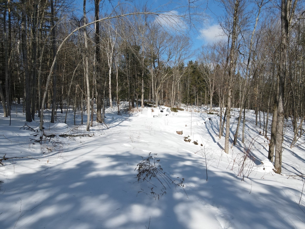 0 Fox Hill Road Bernardston, MA 01337 - Photo 1 of 18