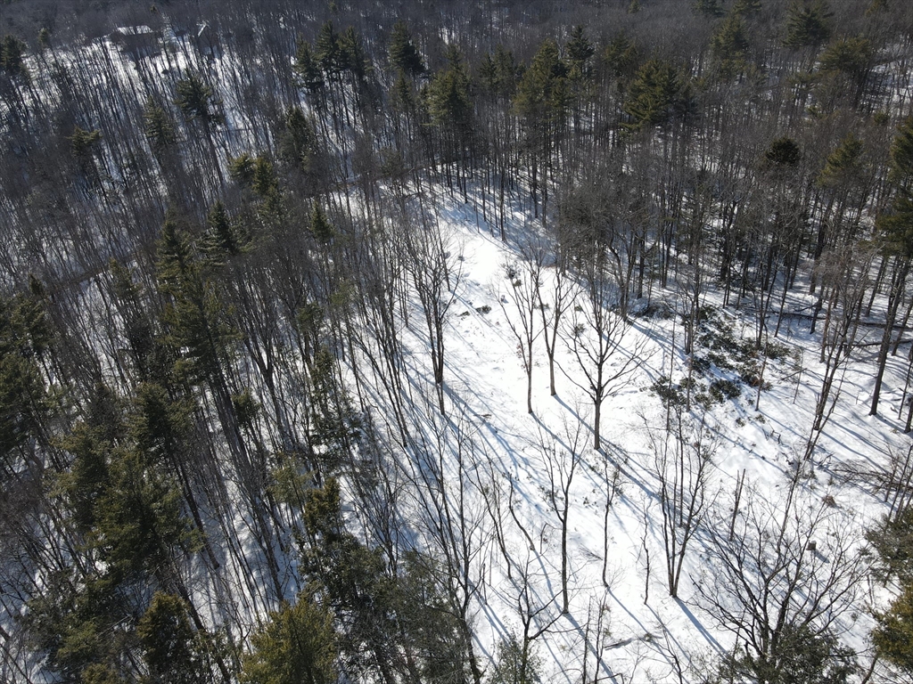 0 Fox Hill Road Bernardston, MA 01337 - Photo 11 of 18