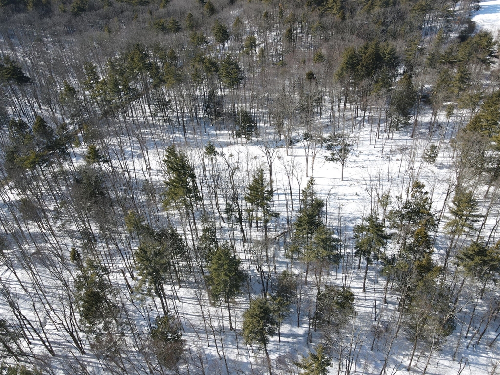 0 Fox Hill Road Bernardston, MA 01337 - Photo 14 of 18