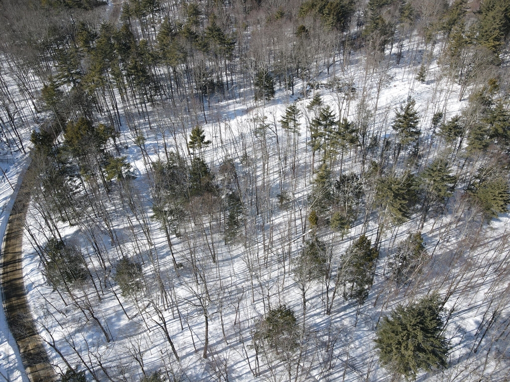 0 Fox Hill Road Bernardston, MA 01337 - Photo 15 of 18