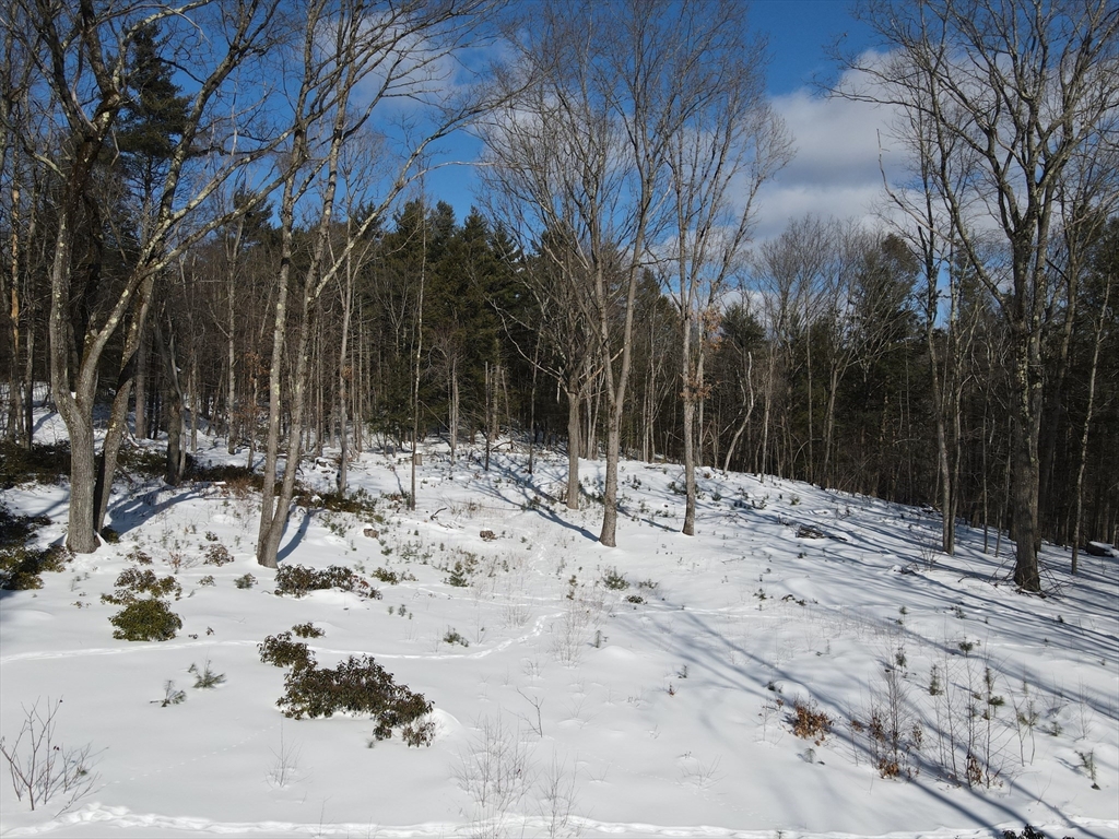 0 Fox Hill Road Bernardston, MA 01337 - Photo 2 of 18