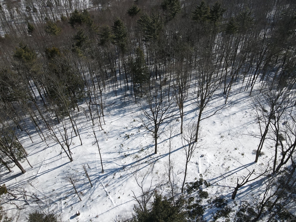 0 Fox Hill Road Bernardston, MA 01337 - Photo 9 of 18