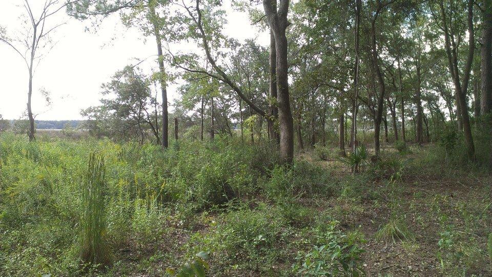 797 Hughes Road Johns Island, SC 29455 - Photo 12 of 15 541877_4753270322369_124334865_n