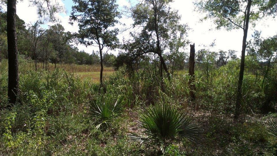 797 Hughes Road Johns Island, SC 29455 - Photo 15 of 15 601695_4753273282443_1901986635_n