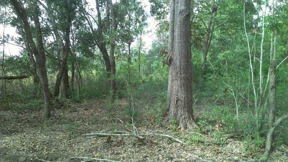 797 Hughes Road Johns Island, SC 29455 - Photo 8 of 15 150937_4753270802381_24403251_n