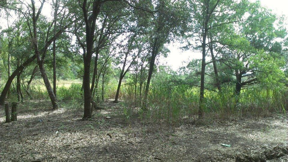 797 Hughes Road Johns Island, SC 29455 - Photo 9 of 15 424456_4753273042437_102167307_n