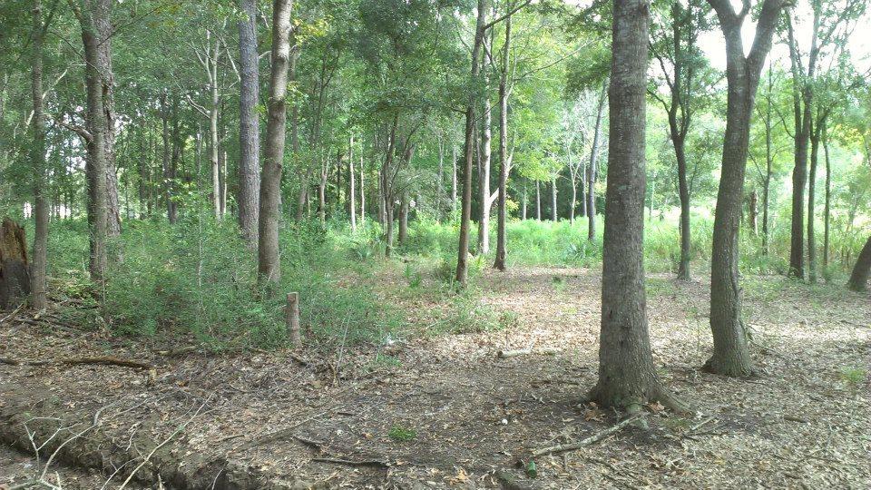 797 Hughes Road Johns Island, SC 29455 - Photo 10 of 15 481219_4753271642402_78501591_n