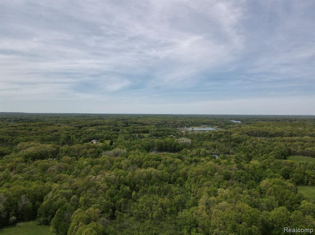 8450 Pepper Road Davisburg, MI 48350 - Photo 12 of 12