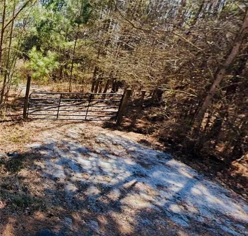 a view of a forest with trees