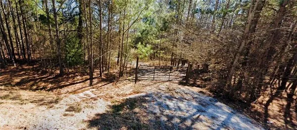 a view of tree next to a yard