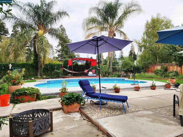 a view of a park with plants and palm tree