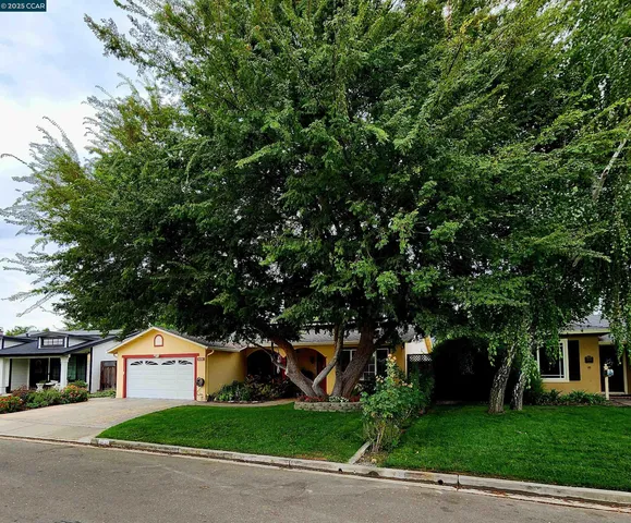 a front view of a house with a garden and tree