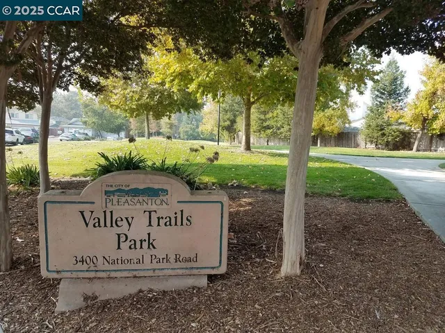 a view of a park that has a tree