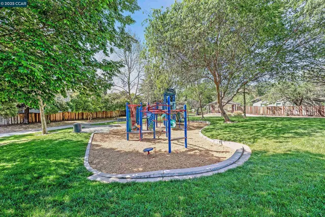 a view of a park with tree s