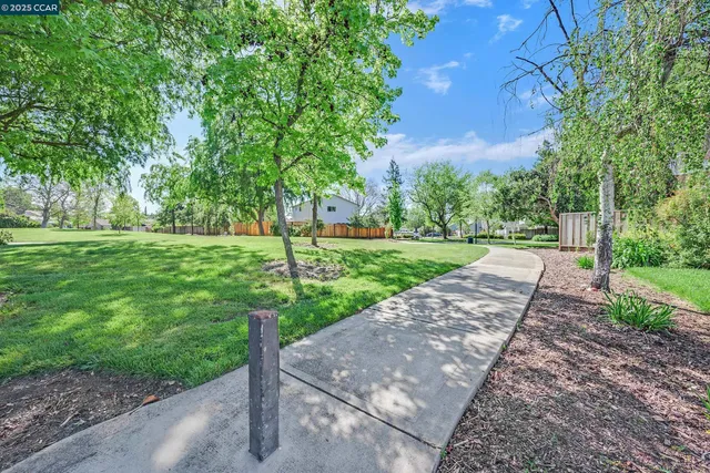 a view of a park with plants and trees