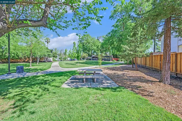 a view of a park with large trees