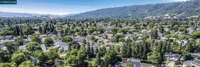 a view of a city and a mountain
