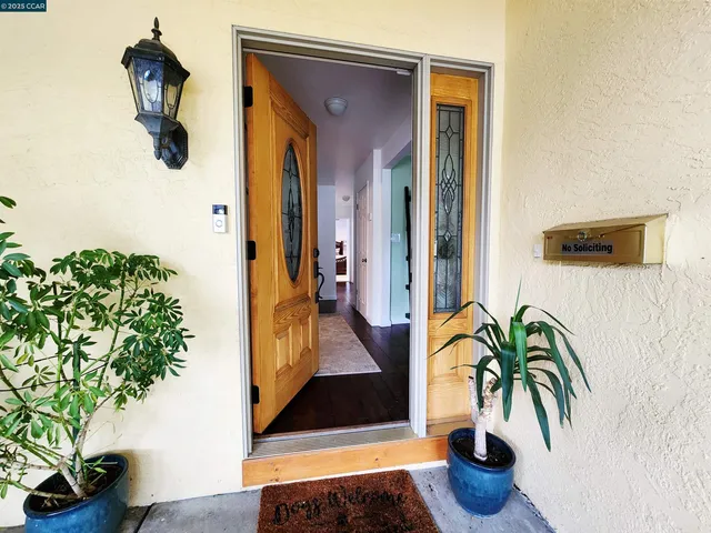 a potted plant sitting in front of a door