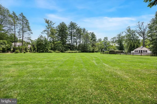 a view of a grassy field with trees in the background