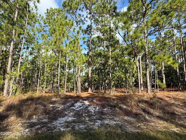 $35,000 | 585 Westwood Road, Southport, NC 28461