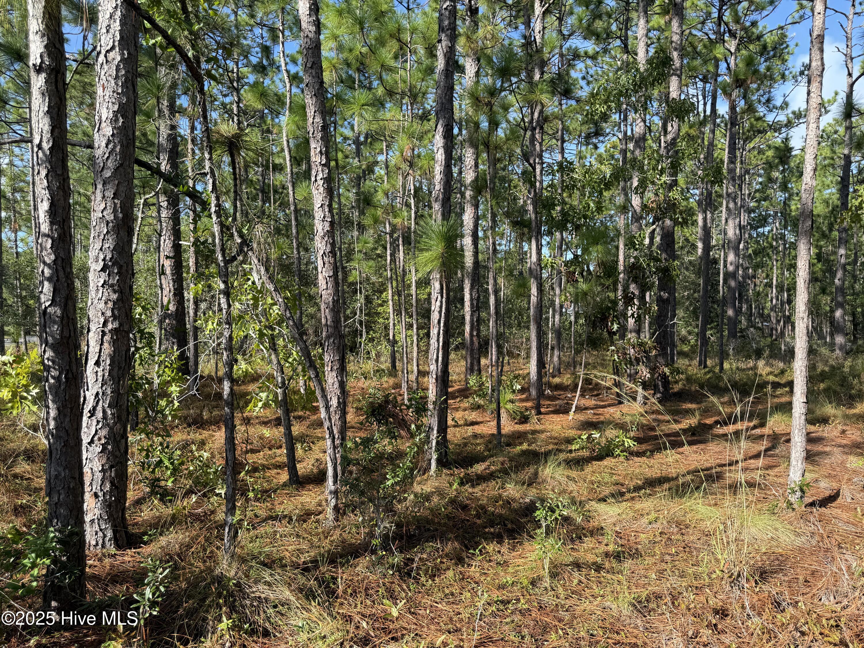 585 Westwood Road Southport, NC 28461 - Photo 2 of 4 IMG_0848