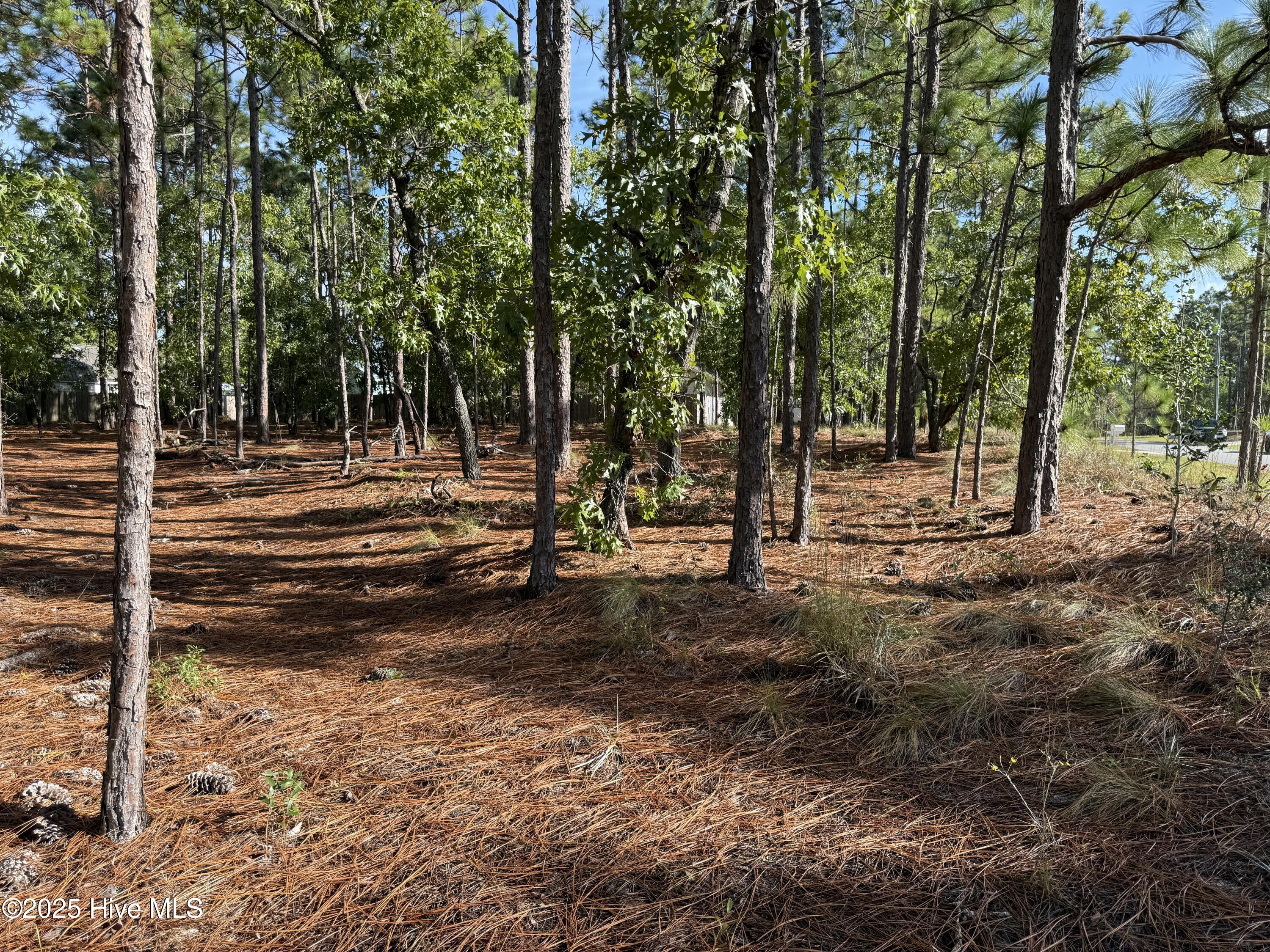 585 Westwood Road Southport, NC 28461 - Photo 3 of 4 IMG_0849
