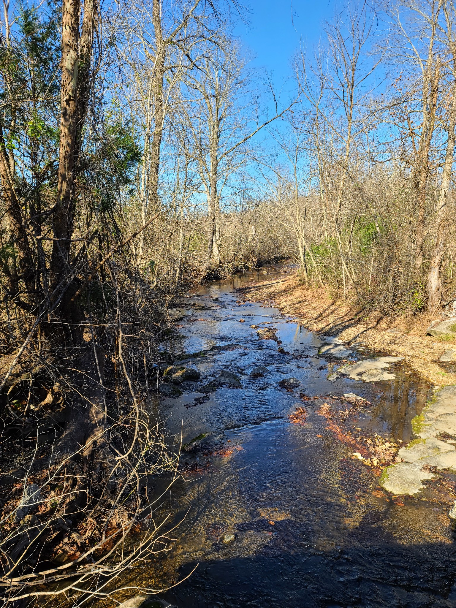 1295 Spann Road Charlotte, TN 37036 - Photo 1 of 8 Gallery Image 1