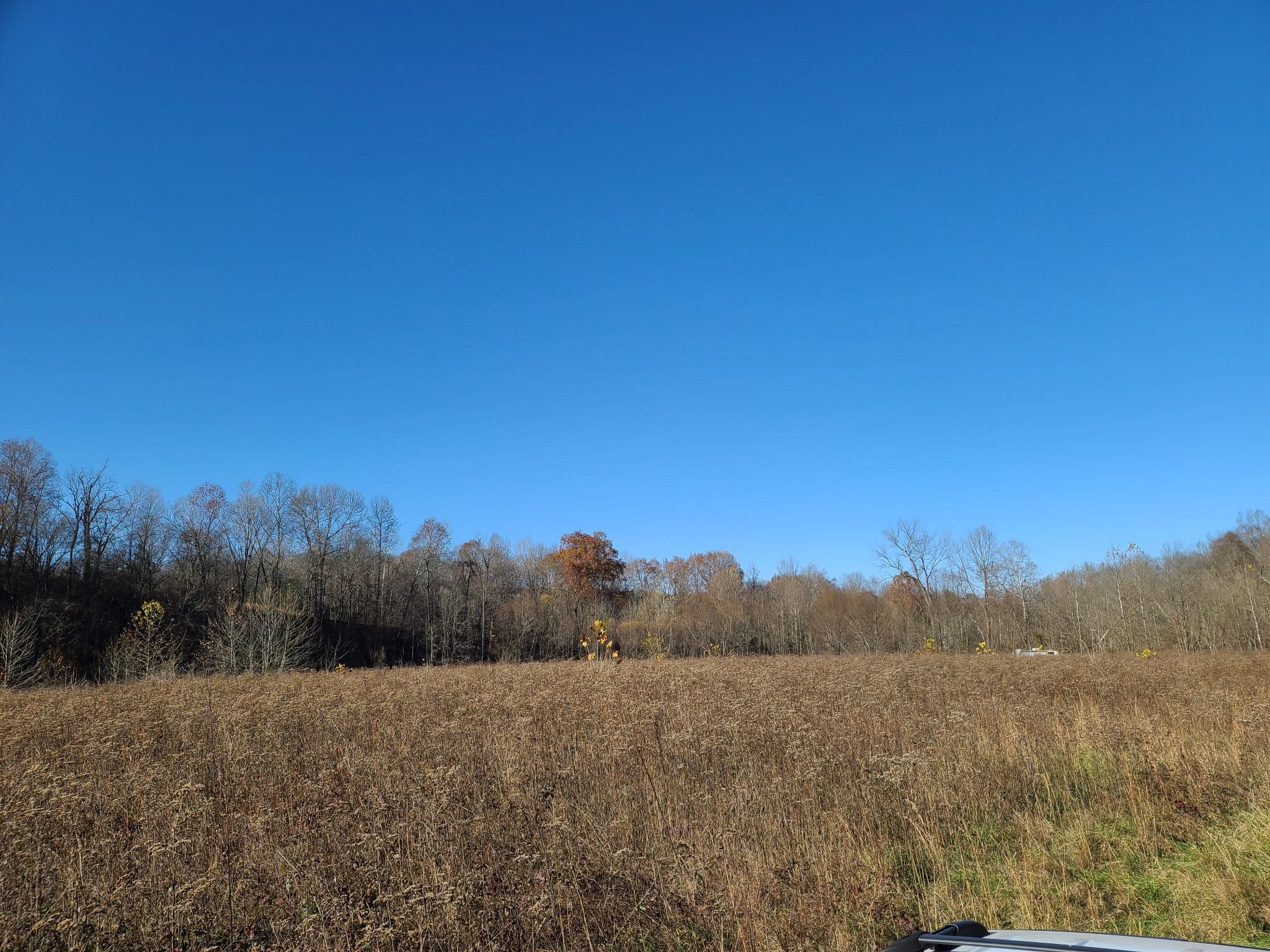 1295 Spann Road Charlotte, TN 37036 - Photo 3 of 8 Gallery Image 3