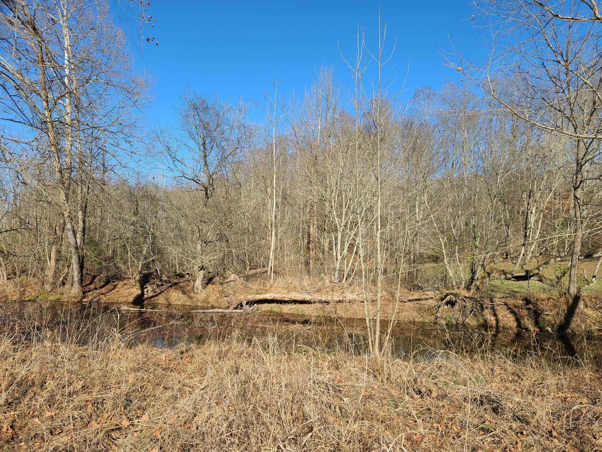 1295 Spann Road Charlotte, TN 37036 - Photo 4 of 8 Gallery Image 4