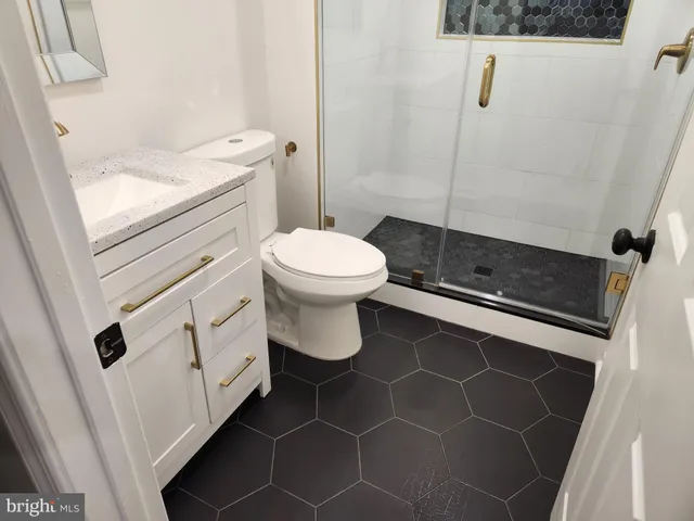 a bathroom with a shower and a toilet