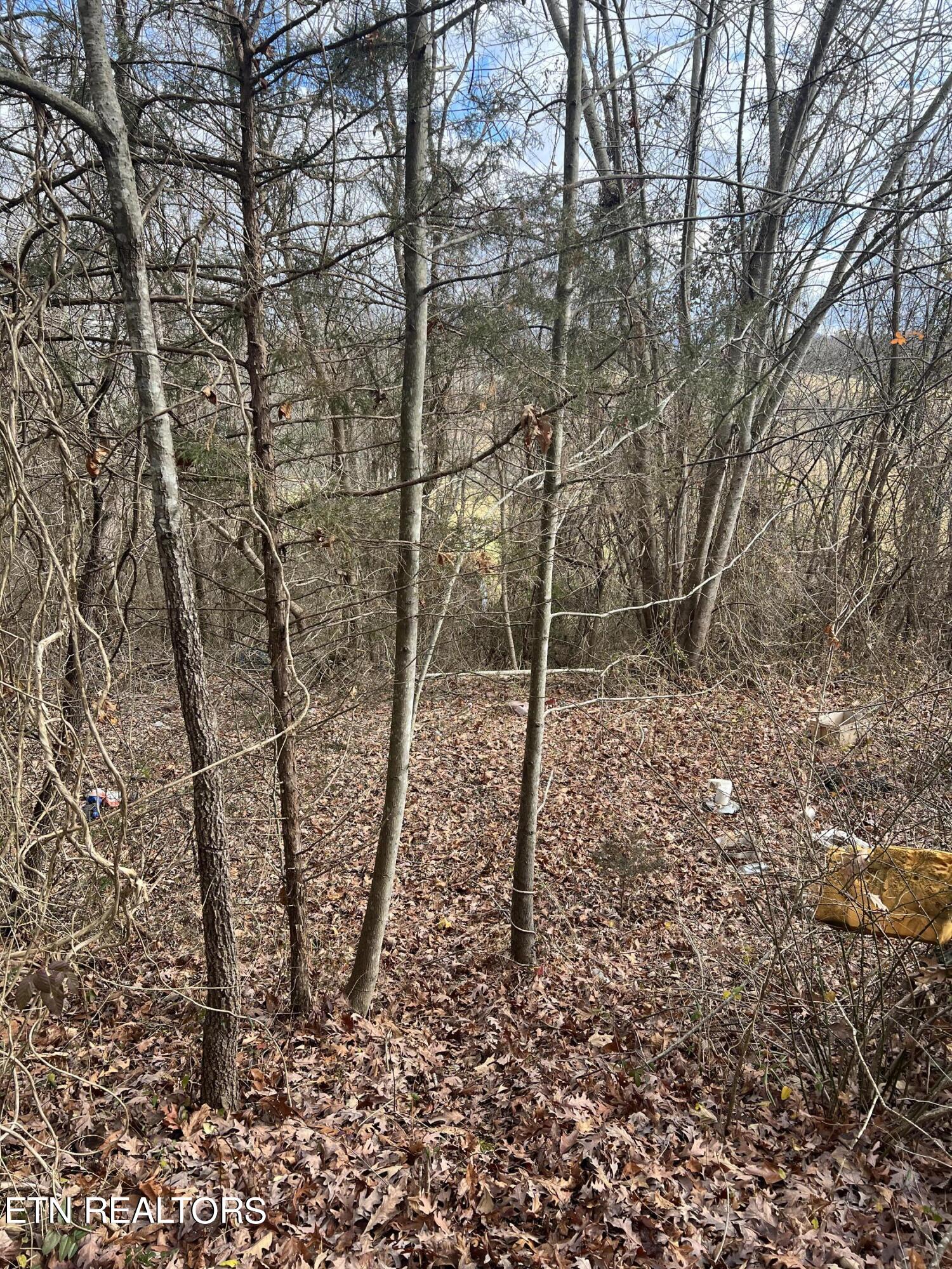 194 Welch Road Tazewell, TN 37879 - Photo 28 of 28 IMG_6590