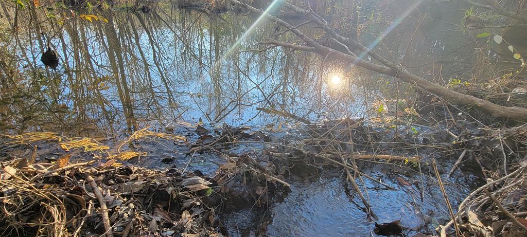 50.45-acres Trawick Road Dothan, AL 36301 - Photo 23 of 62