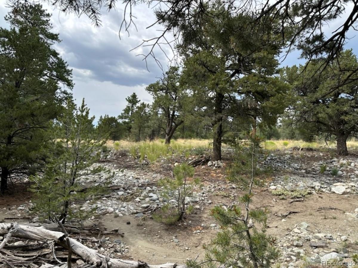 22 Cub Creek Road Mosca, CO 81146 - Photo 11 of 15