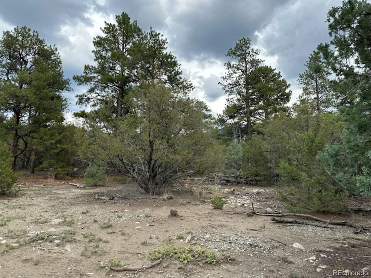 22 Cub Creek Road Mosca, CO 81146 - Photo 12 of 15