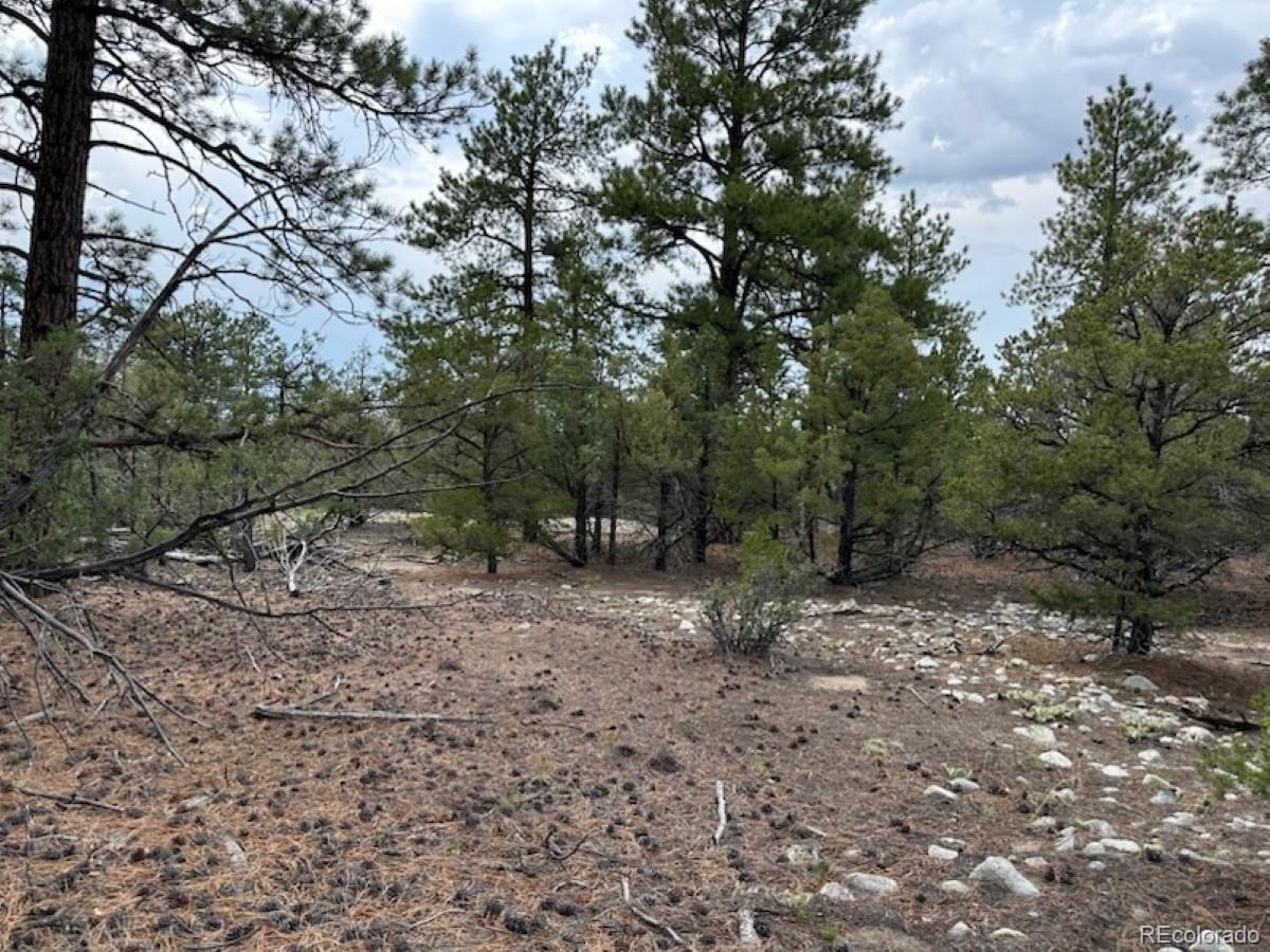 22 Cub Creek Road Mosca, CO 81146 - Photo 13 of 15