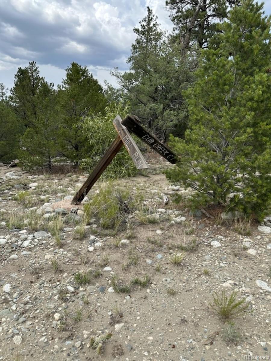 22 Cub Creek Road Mosca, CO 81146 - Photo 2 of 15