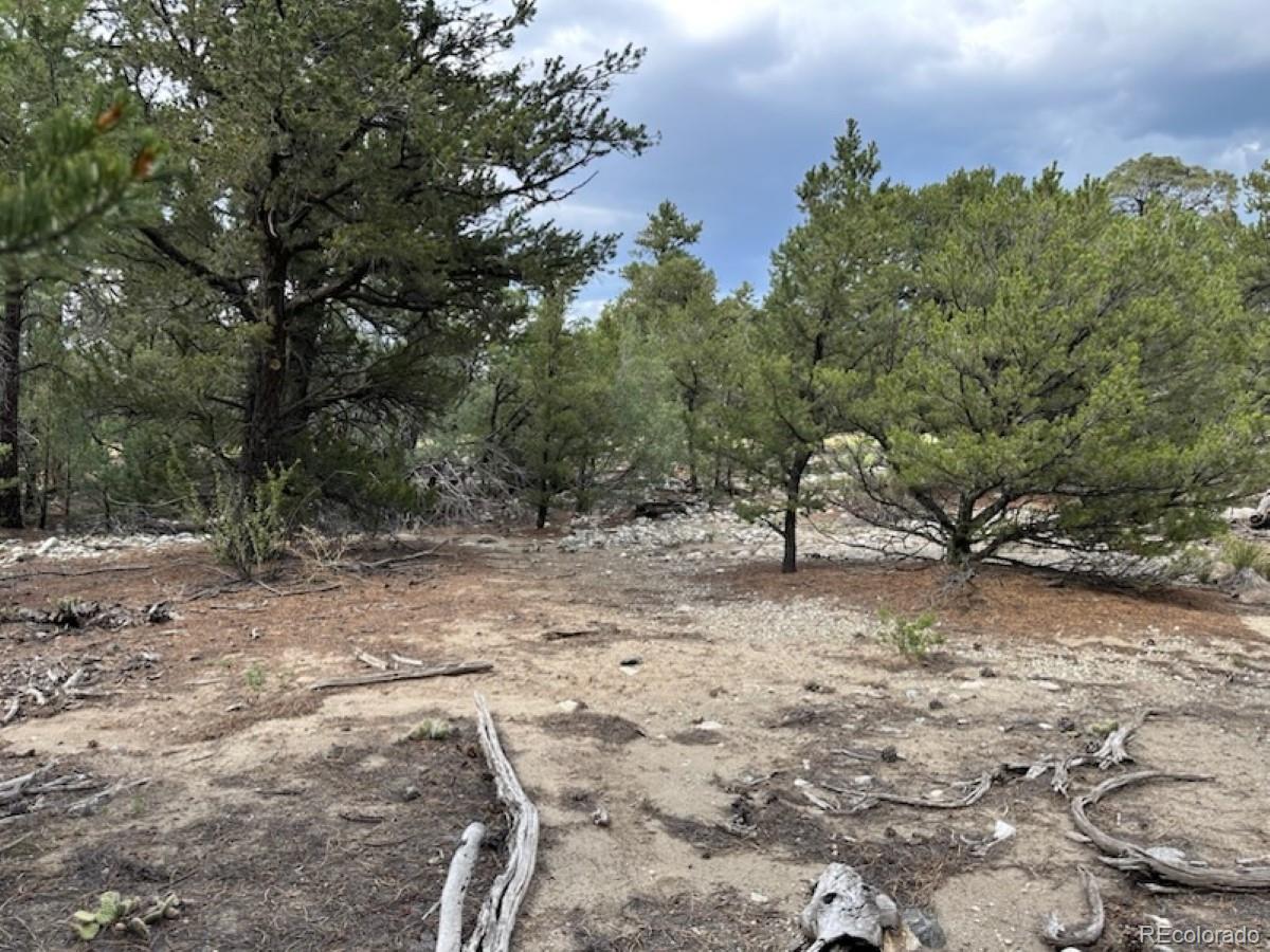 22 Cub Creek Road Mosca, CO 81146 - Photo 5 of 15