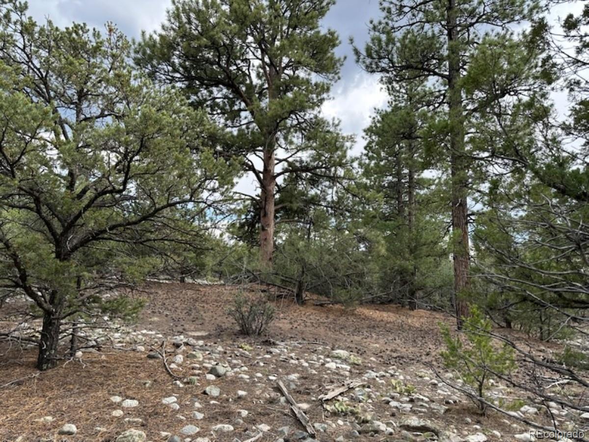 22 Cub Creek Road Mosca, CO 81146 - Photo 8 of 15