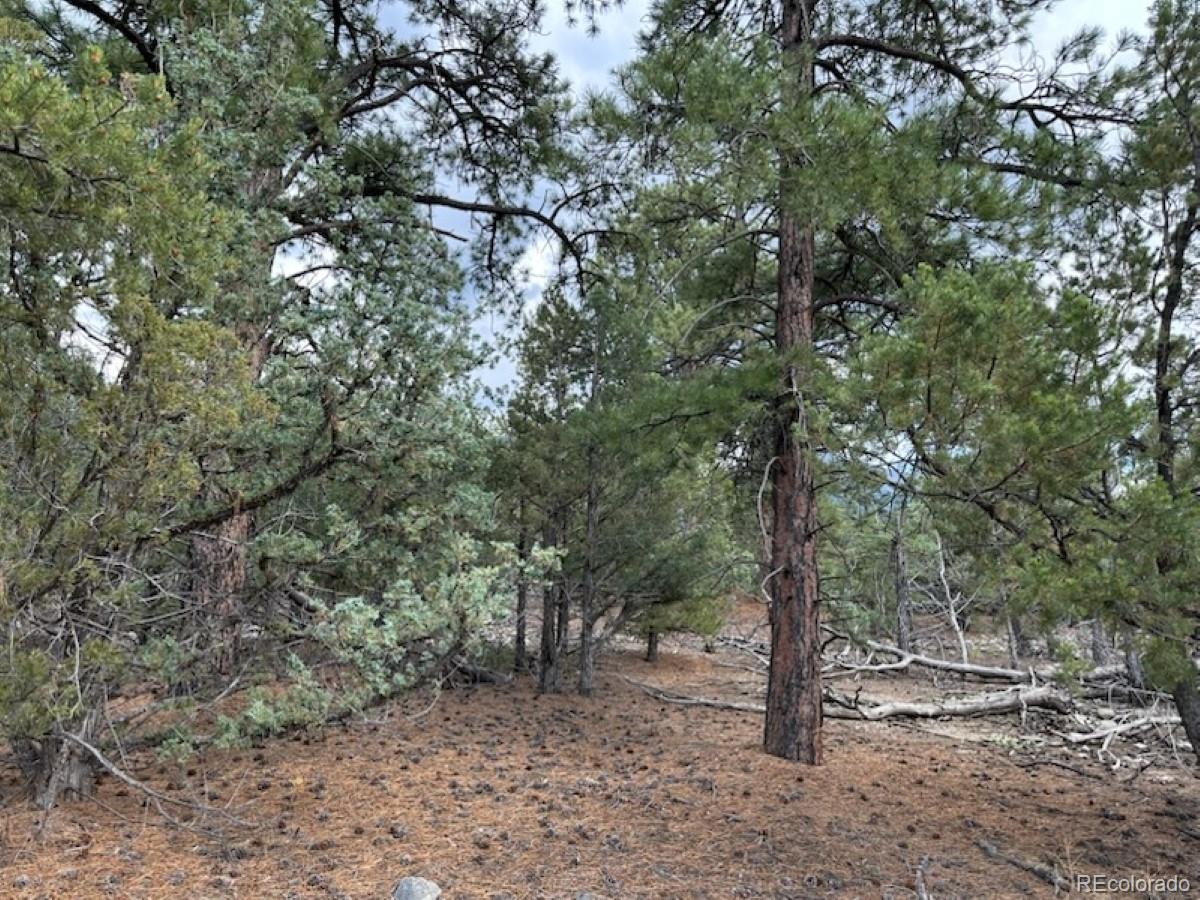 22 Cub Creek Road Mosca, CO 81146 - Photo 9 of 15